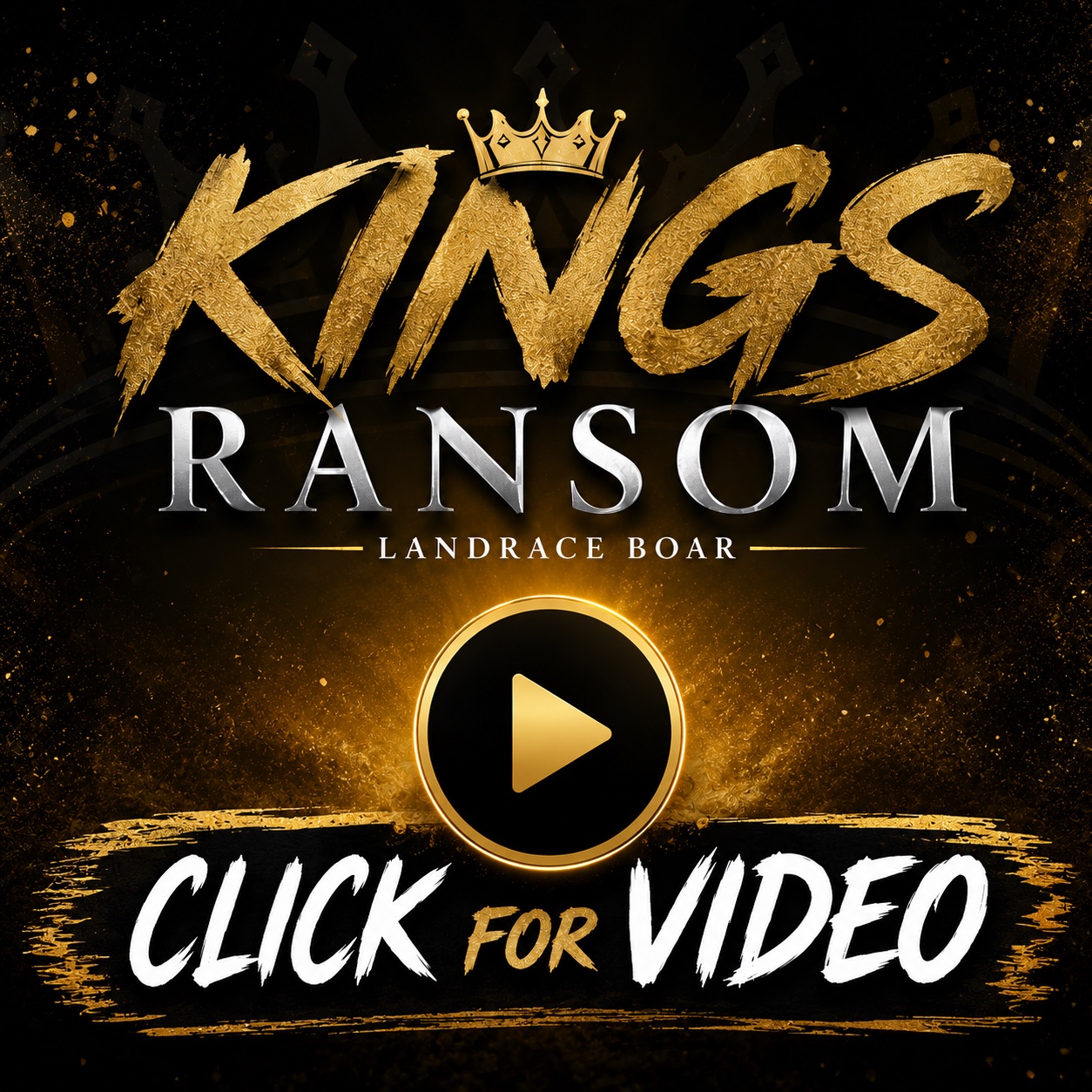 King’s Ransom — Landrace boar