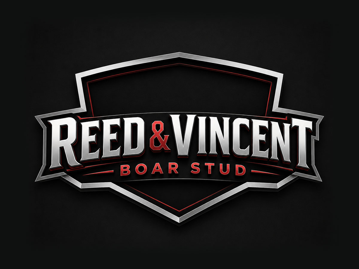 Reed & Vincent Boar Stud logo