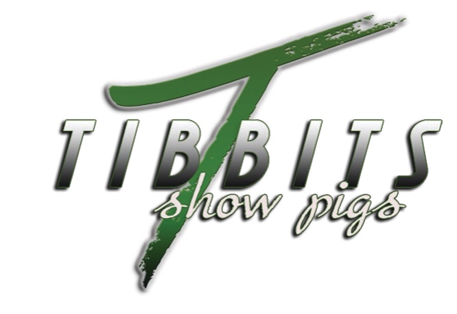Tibbits Show Pigs logo
